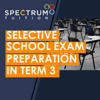 Selective School Exam Preparation in Term 3